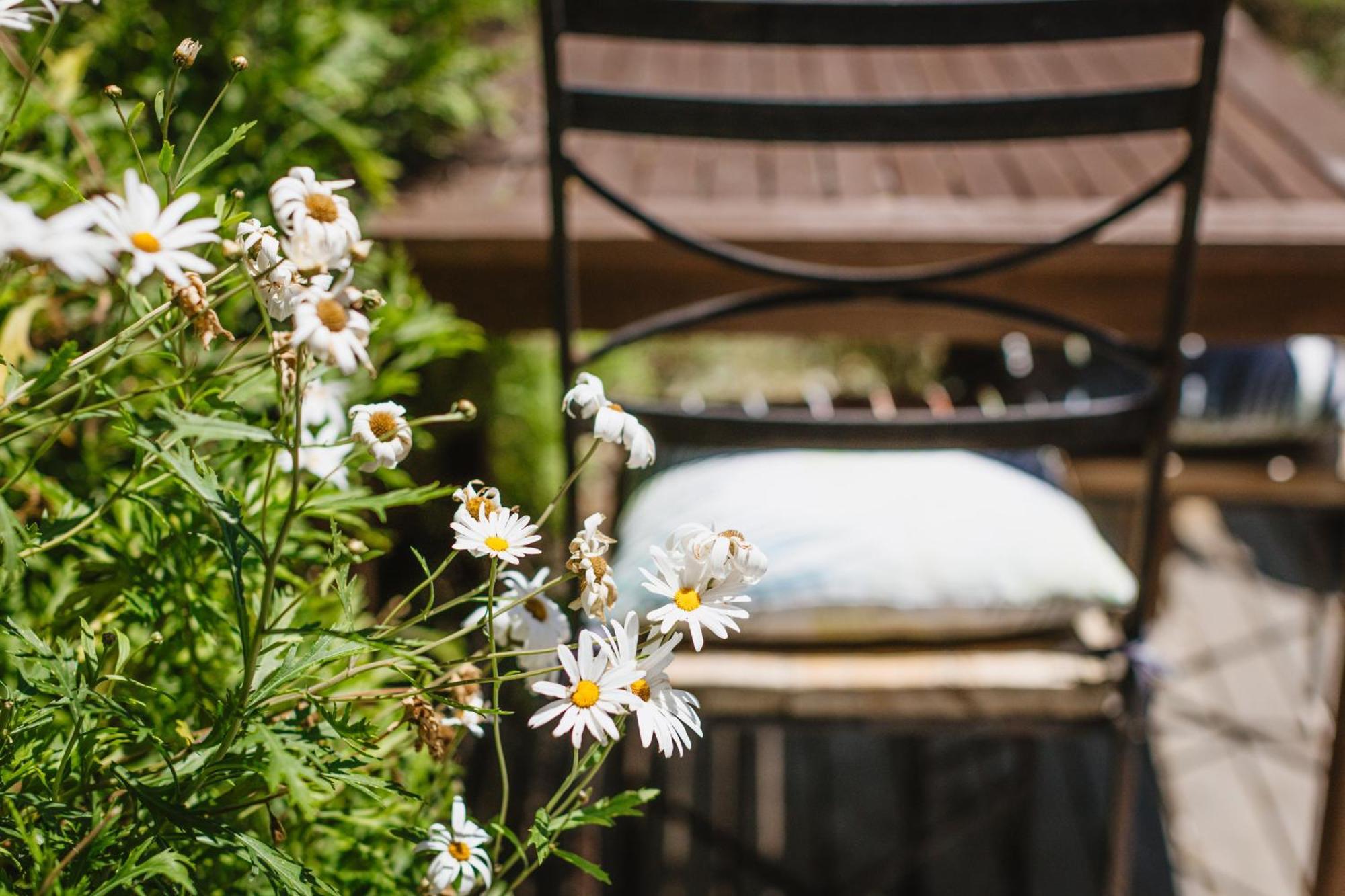 Haumoana Herb Cottage 外观 照片